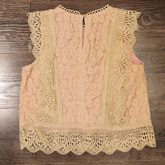 ❤️ NWOT! ANTHROPOLOGIE ERI + ALI SYDNEY LACE BLOUSE / TOP IN BEIGE/PINK, XS - Picture 11 of 12
